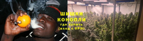 стаф Балахна