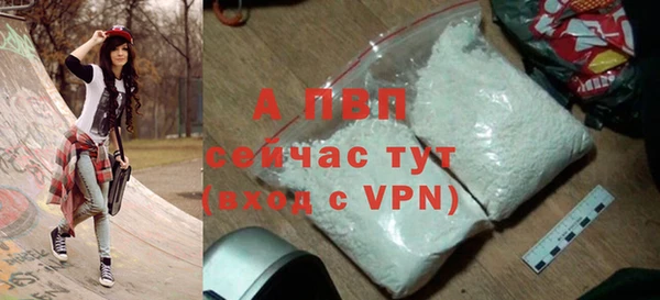 стаф Балахна