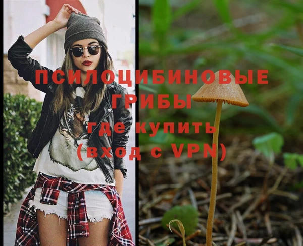 альфа пвп Баксан