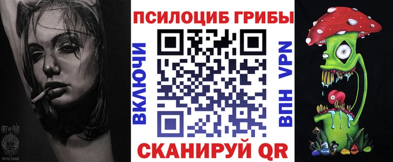 Галлюциногенные грибы Psilocybe  Городище 