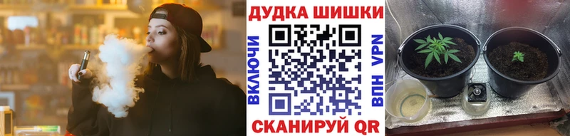 Каннабис индика Городище